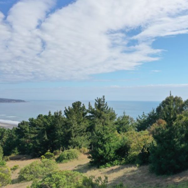 VISTA-AL-MAR-1