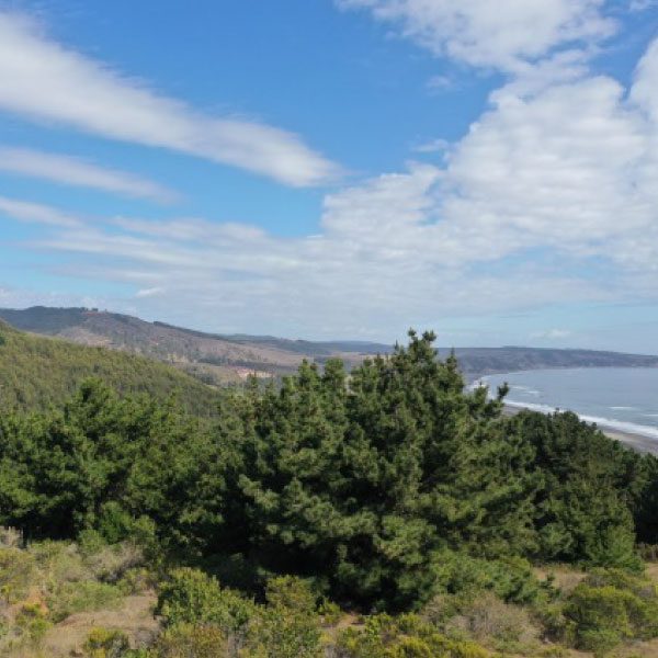 VISTA-AL-MAR-4